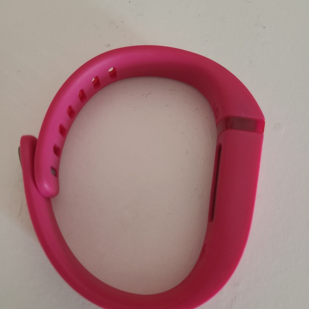 Fitbit Tracker - image 2